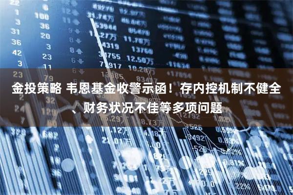 金投策略 韦恩基金收警示函！存内控机制不健全、财务状况不佳等多项问题