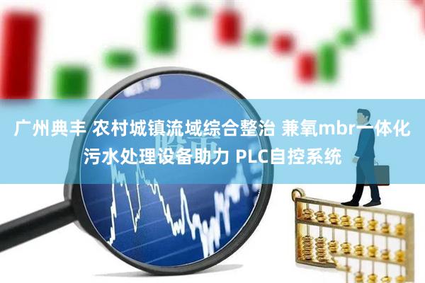 广州典丰 农村城镇流域综合整治 兼氧mbr一体化污水处理设备助力 PLC自控系统
