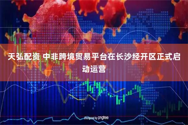 天弘配资 中非跨境贸易平台在长沙经开区正式启动运营