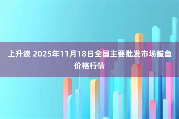 上升浪 2025年11月18日全国主要批发市场鲅鱼价格行情