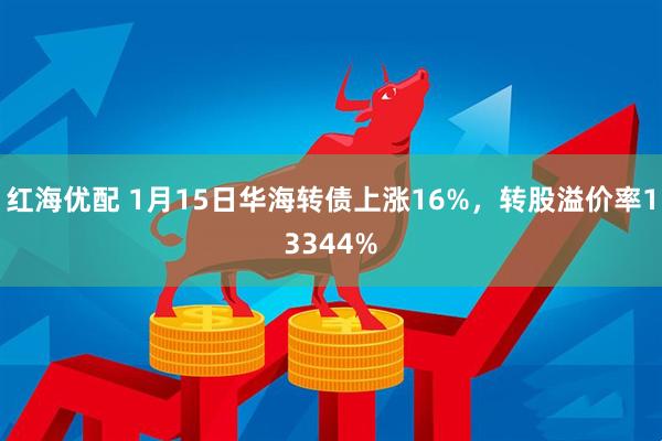 红海优配 1月15日华海转债上涨16%,转股溢价率13344%