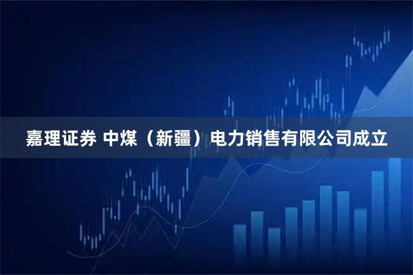 嘉理证券 中煤（新疆）电力销售有限公司成立